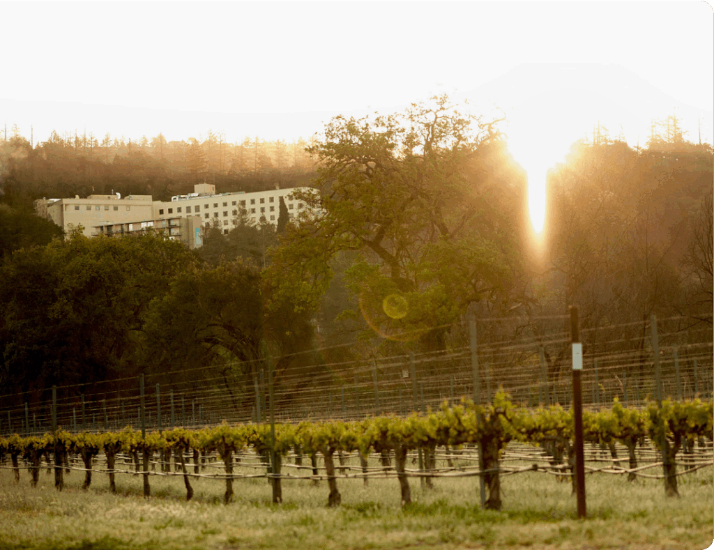 Welcome to the Adventist Heart & Vascular Institute at St. Helena Hospital